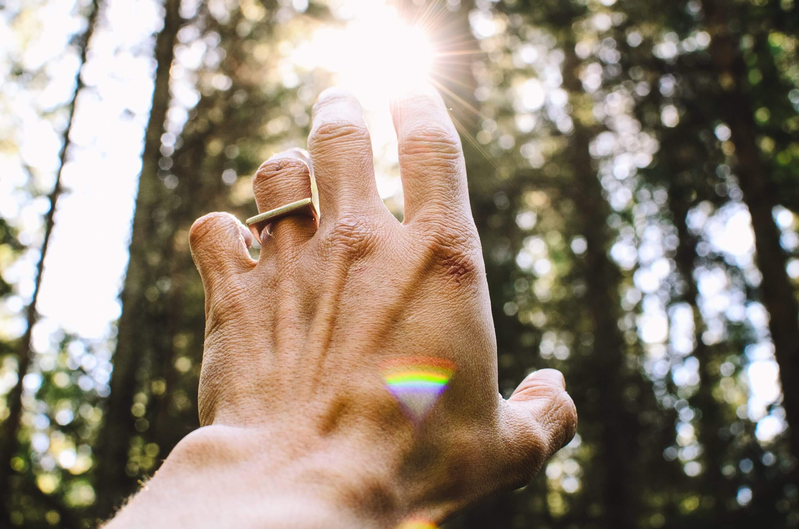 A hand extends towards the sun, symbolizing hope and connection with nature.