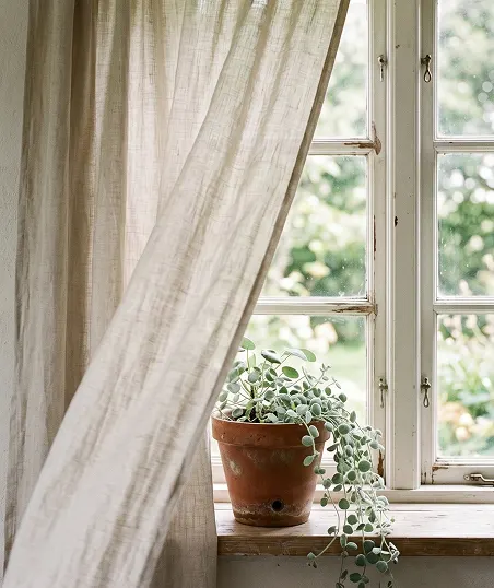 A window with natural light streaming in, featuring a potted plant on the sill, adding a touch of greenery indoors.