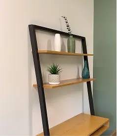 A shelf displaying a green plant