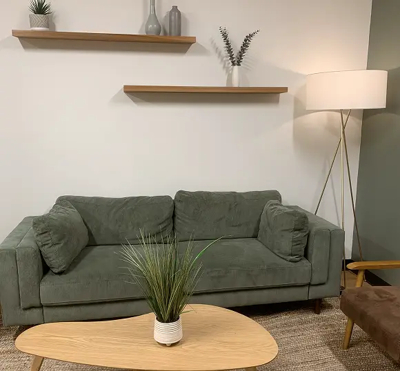 A green couch set against two plant-filled shelves